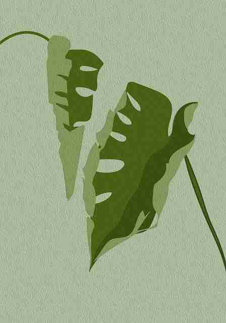 免费体验揭秘：91爆料背后隐藏的品牌合作案例与爆料流程解析秘籍