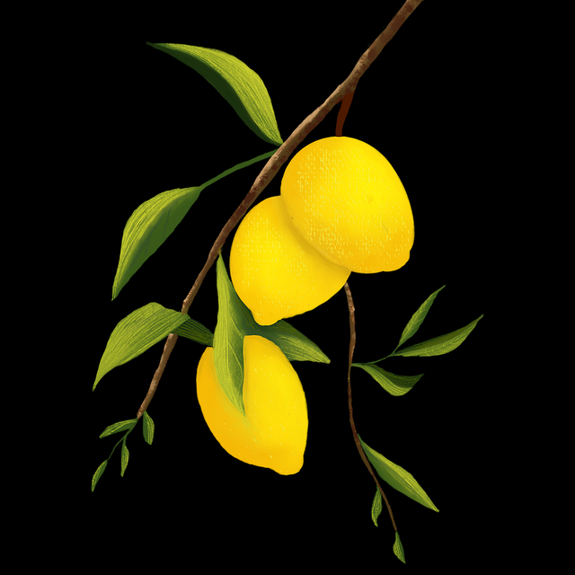 深度探秘指南：玩转微密圈官网首页的页面布局解析与隐藏技巧与诀窍技巧