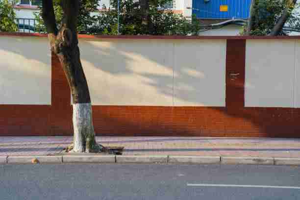 实时报道攻略：抢先掌握每日大赛今日与黑马之路的观赛技巧