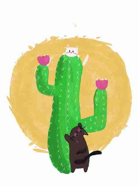 全方位解析｜行业首创深度探秘新91视频热点事件