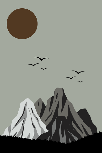 幕后揭秘速递：每日大赛内外独家视角全覆盖抢先看