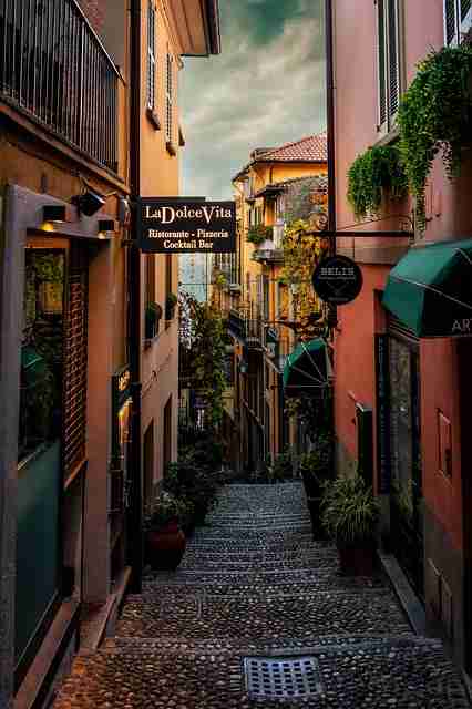 洞察中的糖心Vlong官方网站使用技巧